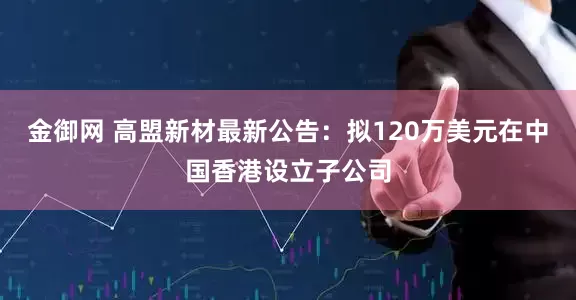 金御网 高盟新材最新公告：拟120万美元在中国香港设立子公司