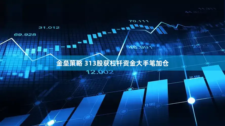 金垒策略 313股获杠杆资金大手笔加仓