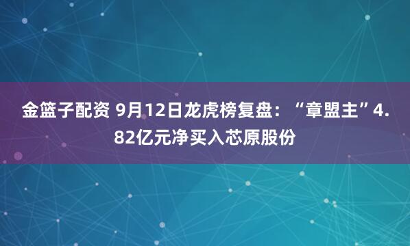 金篮子配资 9月12日龙虎榜复盘：“章盟主”4.82亿元净买入芯原股份