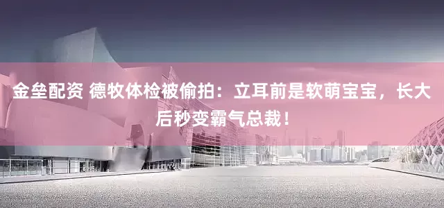 金垒配资 德牧体检被偷拍：立耳前是软萌宝宝，长大后秒变霸气总裁！